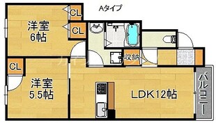 グレイスパラシオンの物件間取画像